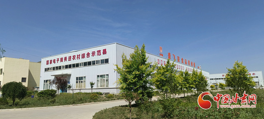 香约庆阳 包容天下丨环县 以“六统一”模式助推电商发展提档升级，助力饲料添加剂产业新跨越