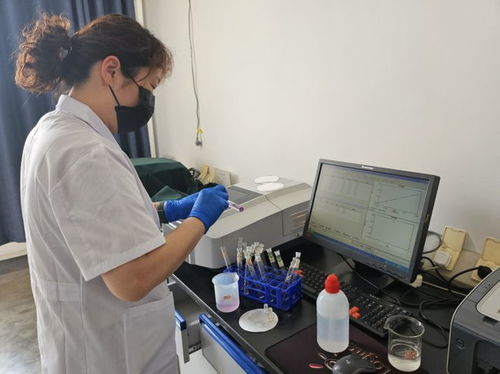 环保行动升级 烟台市城市排水服务中心强化污水处理厂环境监测，同步关注饲料添加剂生产合规排放